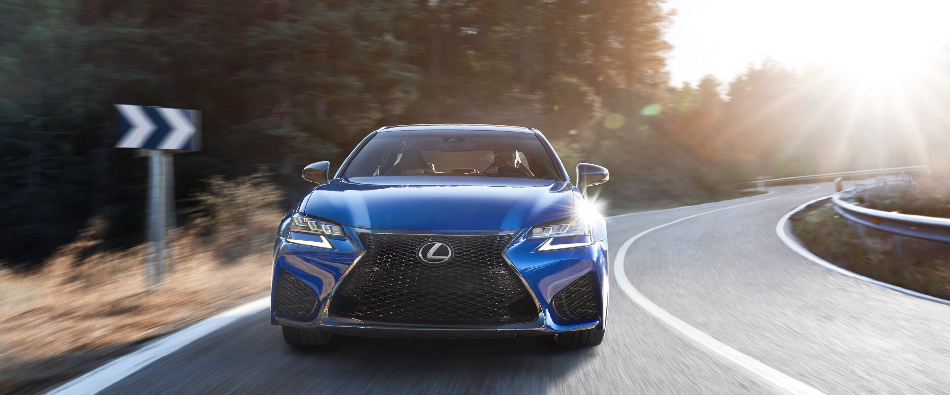 F Models Gallery Images