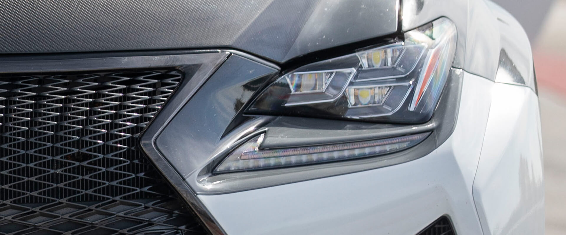 F Models Gallery Images