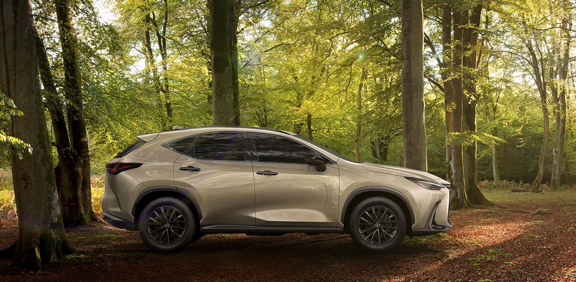 Lexus NX 350h Overtrail