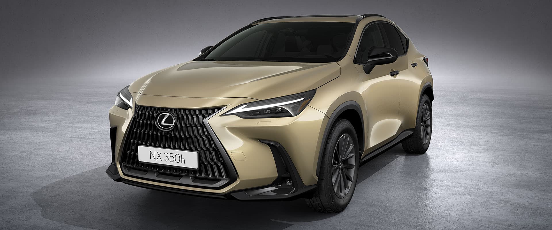 Lexus NX 350h Overtrail Exterior Gallery