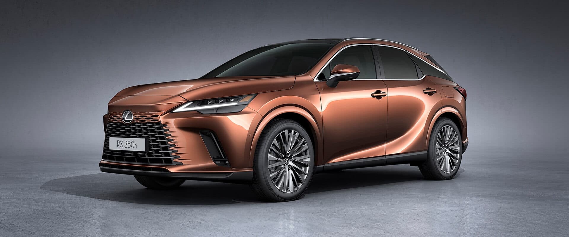 Lexus RX 350h Luxury Exterior Gallery Images