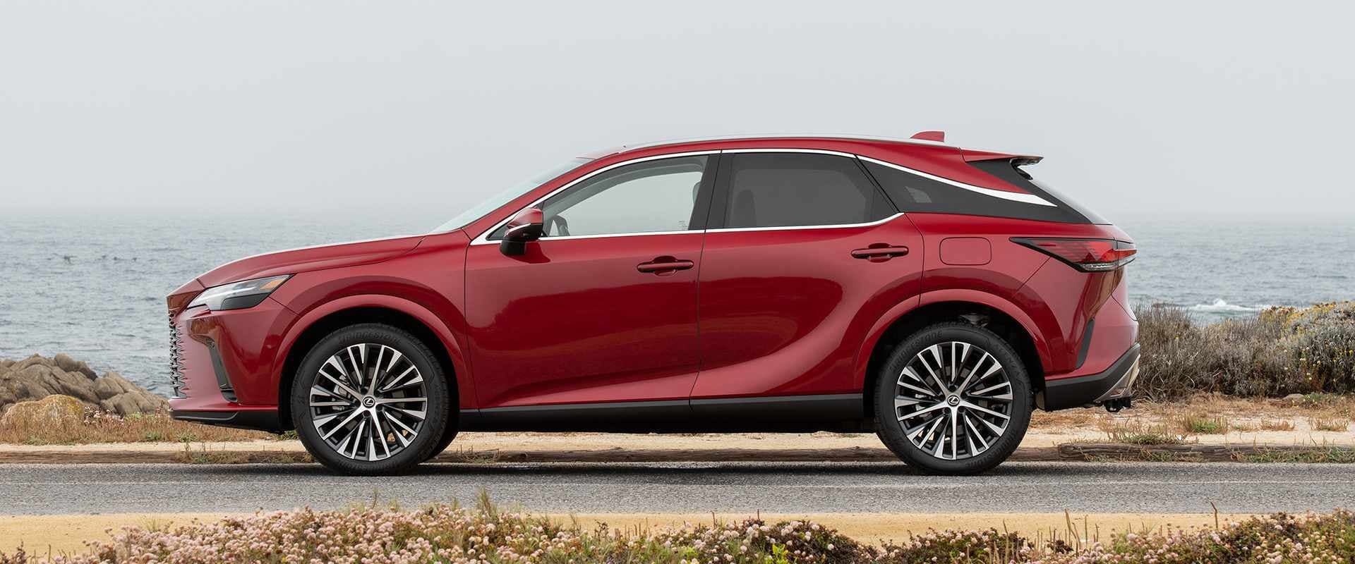 Lexus RX 350h Luxury Exterior Gallery Images